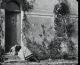 Désespérée (La), 1906
